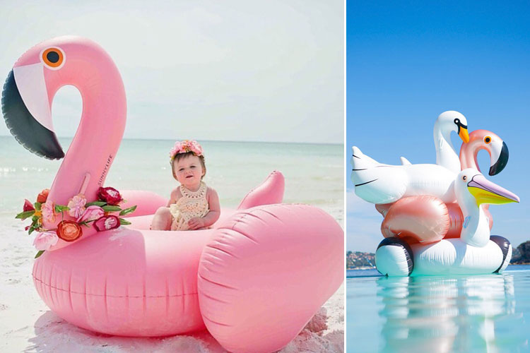 Flotadores gigantes para la piscina: flamencos, cisnes y más