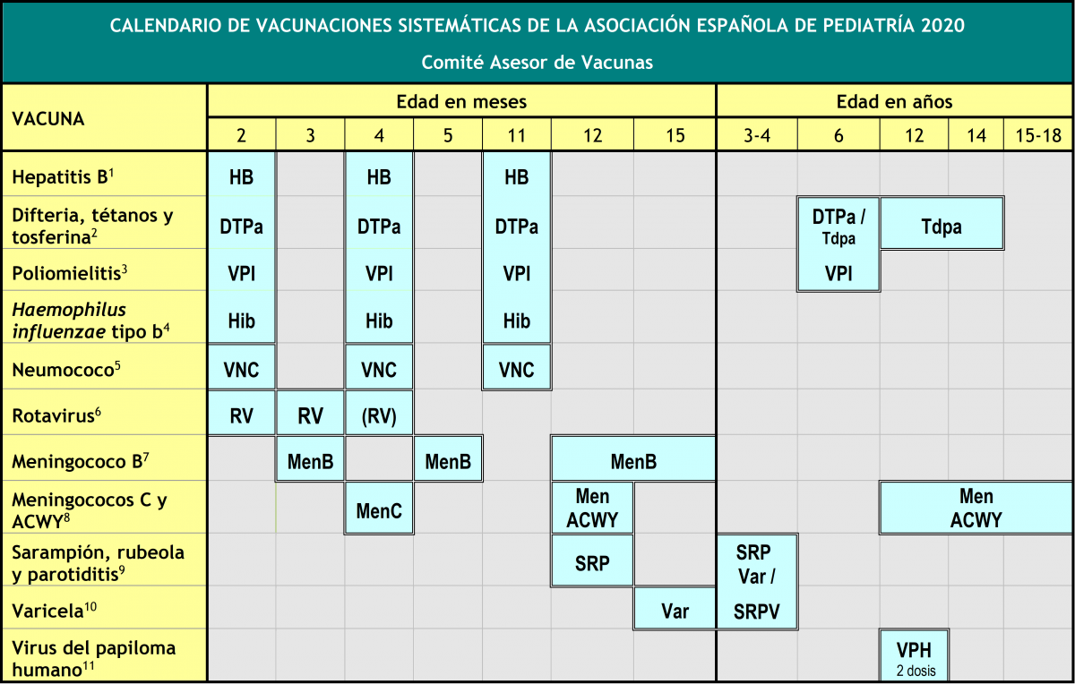 Programa de Vacunación Infantil - Cómo Verificar si Están Actualizados