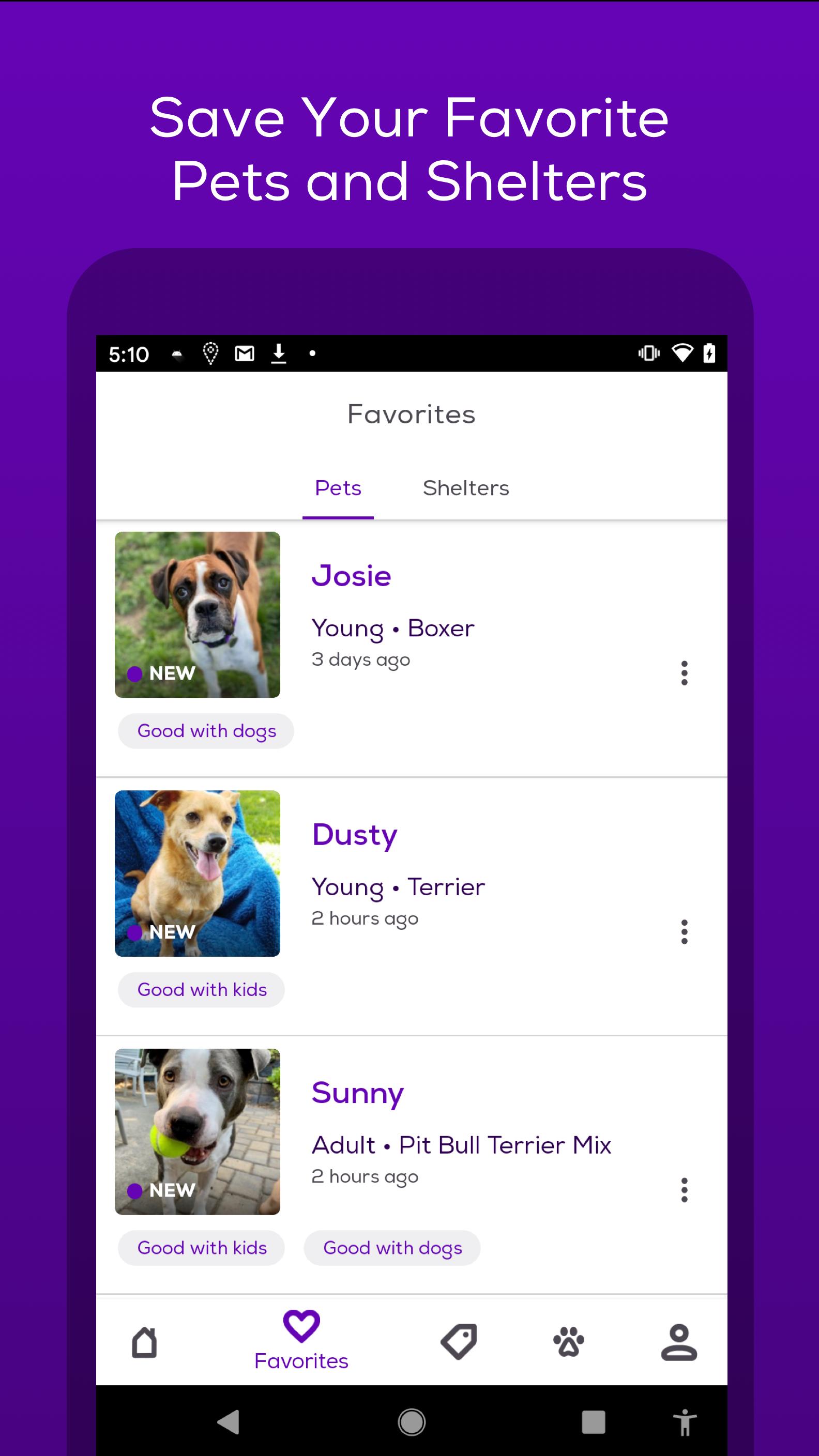 Aplicación Pet Finder - Descubre cómo Descargarlo Gratis
