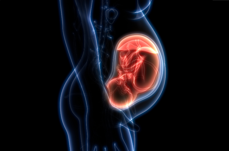 ¿Es beneficioso Comer la Placenta después del Parto? – Descúbrelo Aquí